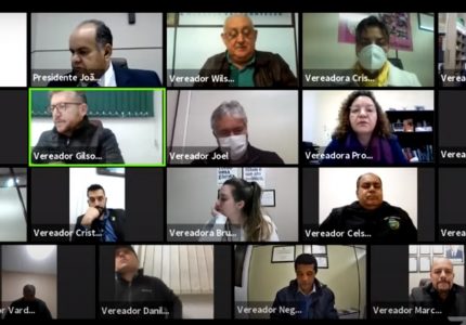 Vereadores e vereadoras em votação da LDO, na sessão ordinária desta terça-feira (22), em ambiente virtual. Imagem: Reprodução