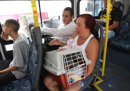 Projeto de Lei busca autorizar transporte de animais domésticos em transporte público em Guarapuava